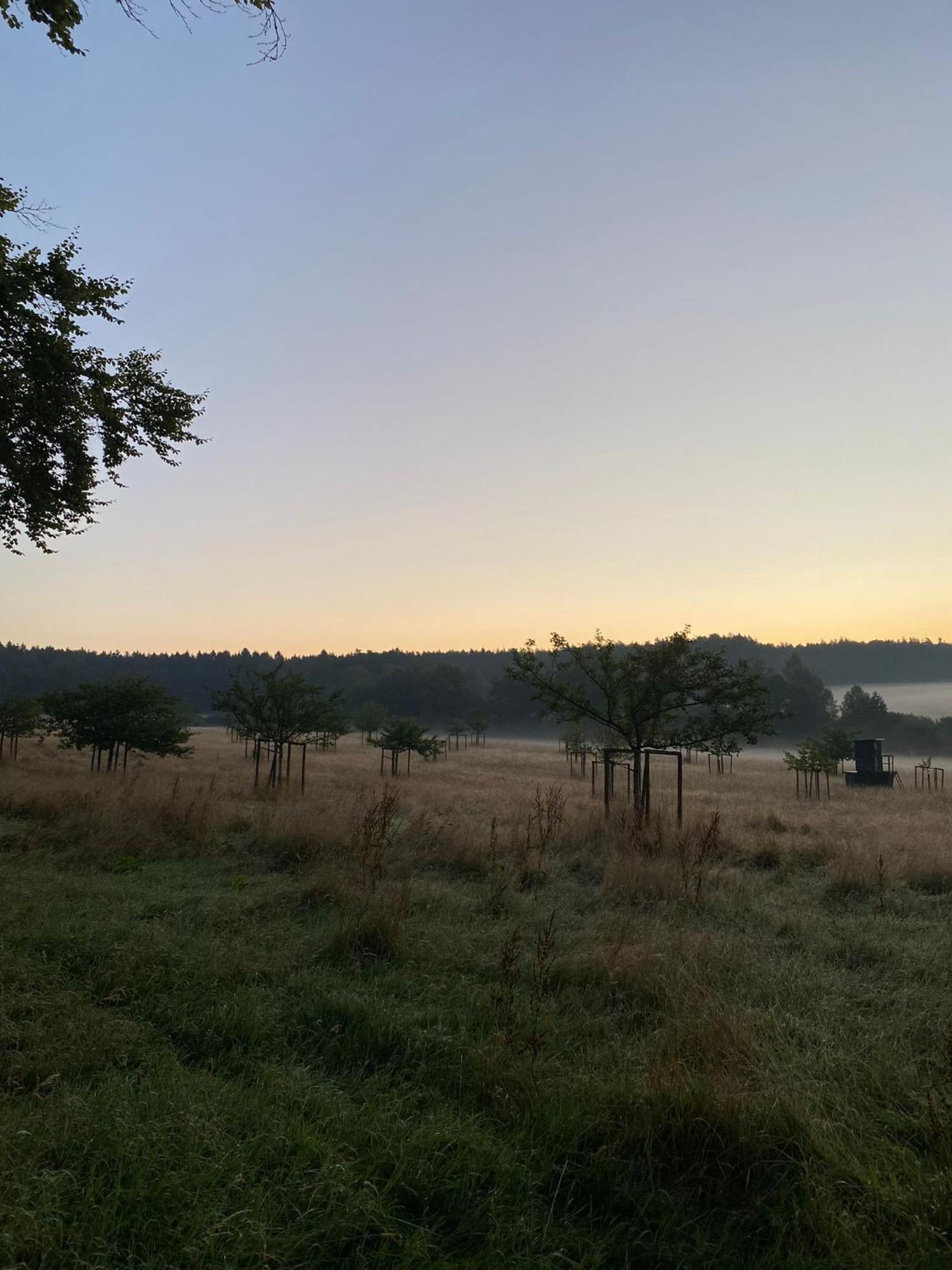 Ferienhaus Vulkaneifel Abtei Himmerod Großlittgen Exterior foto