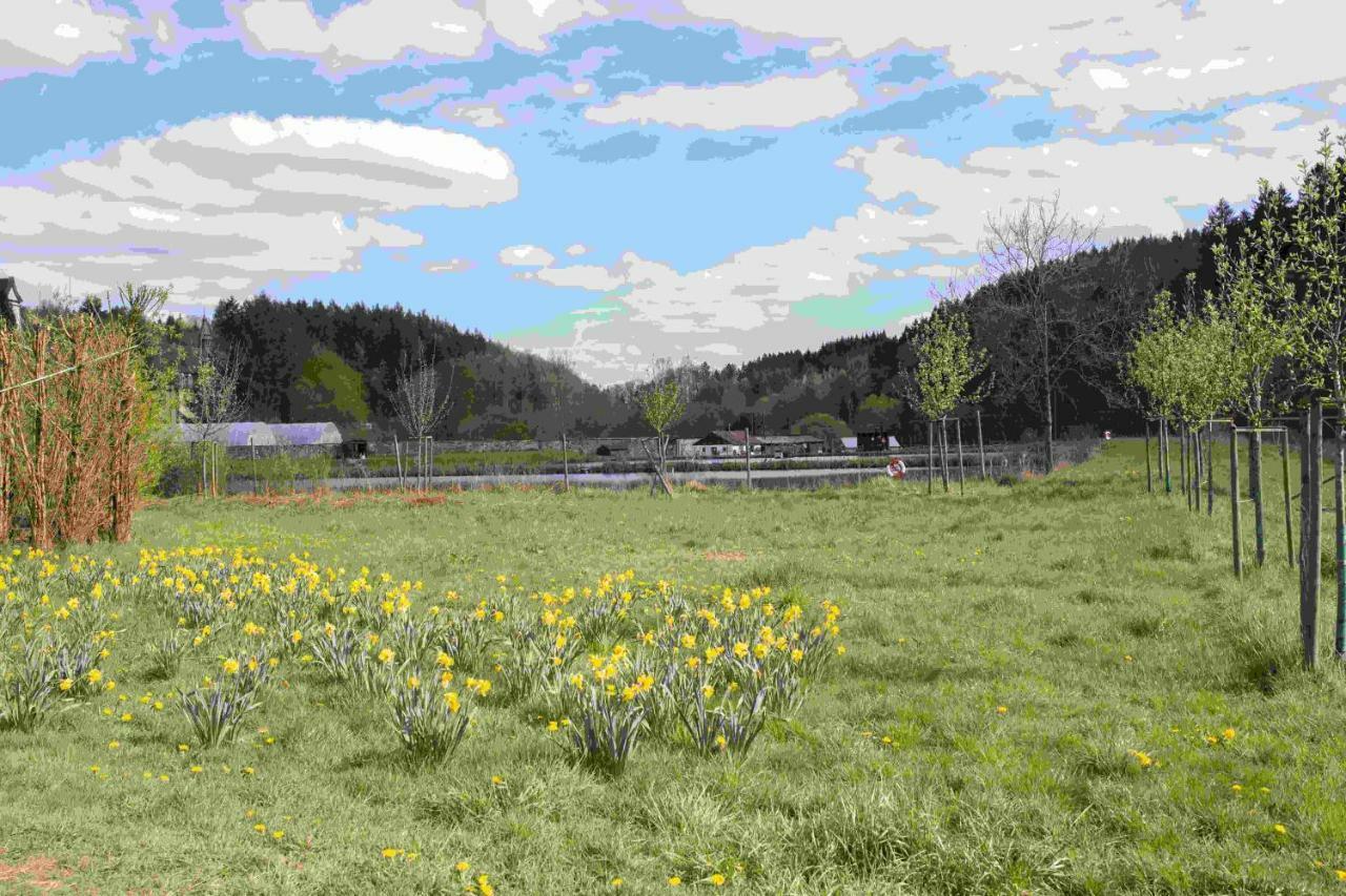 Ferienhaus Vulkaneifel Abtei Himmerod Großlittgen Exterior foto